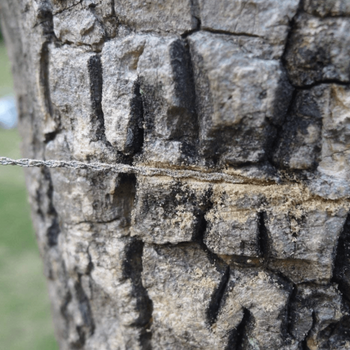 Serra de fio de aço inoxidável Boogear